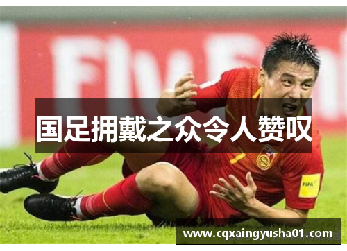 国足拥戴之众令人赞叹　